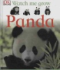 Watch_me_grow_panda