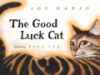 The_good_luck_cat