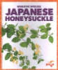 Japanese_honeysuckle