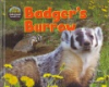 Badger_s_burrow