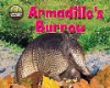 Armadillo_s_burrow