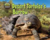 Desert_tortoise_s_burrow