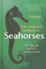 The_curious_world_of_seahorses