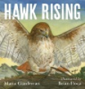 Hawk_rising