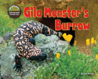 Gila_monster_s_burrow