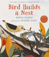 Bird_builds_a_nest