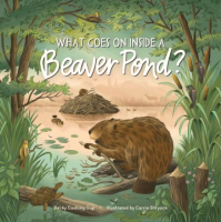 What_goes_on_inside_a_beaver_pond_