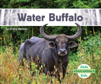 Water_buffalo